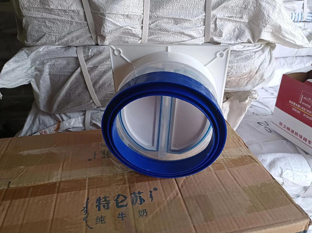 廠家直銷批發(fā)無動力風機防火止回閥